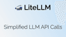 liteLLM logo